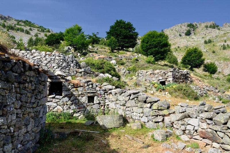 A.Casetta Santo-Pietro-di-Venaco Exteriér fotografie