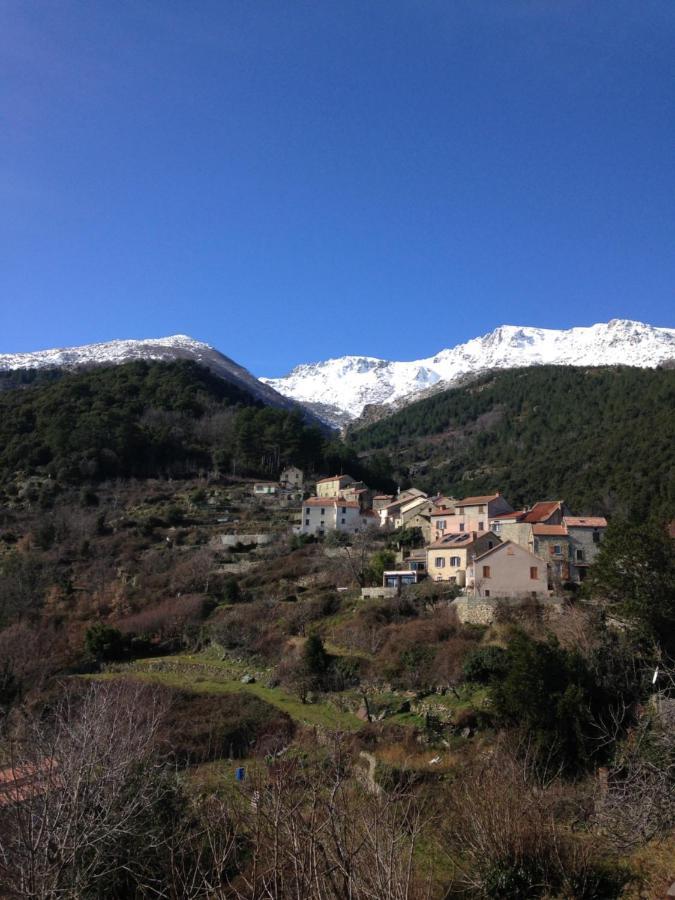 A.Casetta Santo-Pietro-di-Venaco Exteriér fotografie